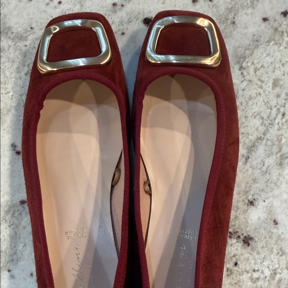 Avellini Burgundy Flats with Gold Buckle - Picture 7 of 10